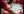 Digital Inventory Services - Level 2 - Professional