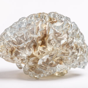 Somos® BioClear - example of a printed part, a translucent brain shaped object with intricate, organic design